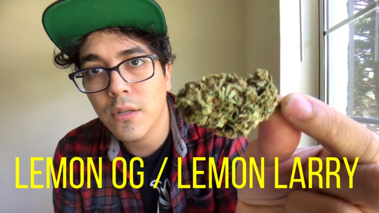 Weed Review #6: LEMON LARRY (a.k.a) LARRY OG!