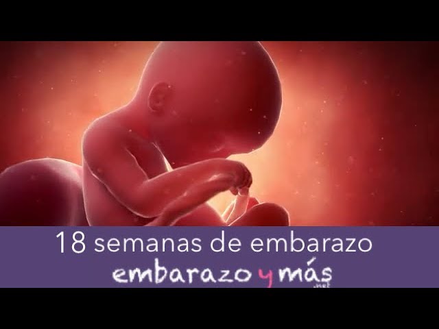 18 Semanas De Embarazo Cuarto Mes Embarazoymas Youtube 18 Semanas De Embarazo Cuarto Mes Embarazoymas Youtube
