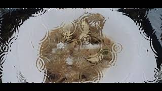 Murg Reshmi Butter Masala By Master Chef Supratim