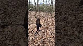 trunks that bend instead of going straight! @AshLytton_JesusLovesYou