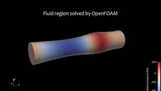 Famous FSI example of an elastic tube (r190819) Net Worth