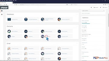 How to add CNAME Record in cPanel using the DNS Zone Editor with NodePlex