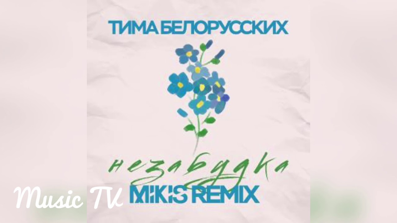 Текст песни незабудка белорусских. Тима Беларусь Незабудка. Незабудка Тима белорусских обложка. Тима белорусских Незабудка Mikis Remix. Тим Беларусь незабудки.