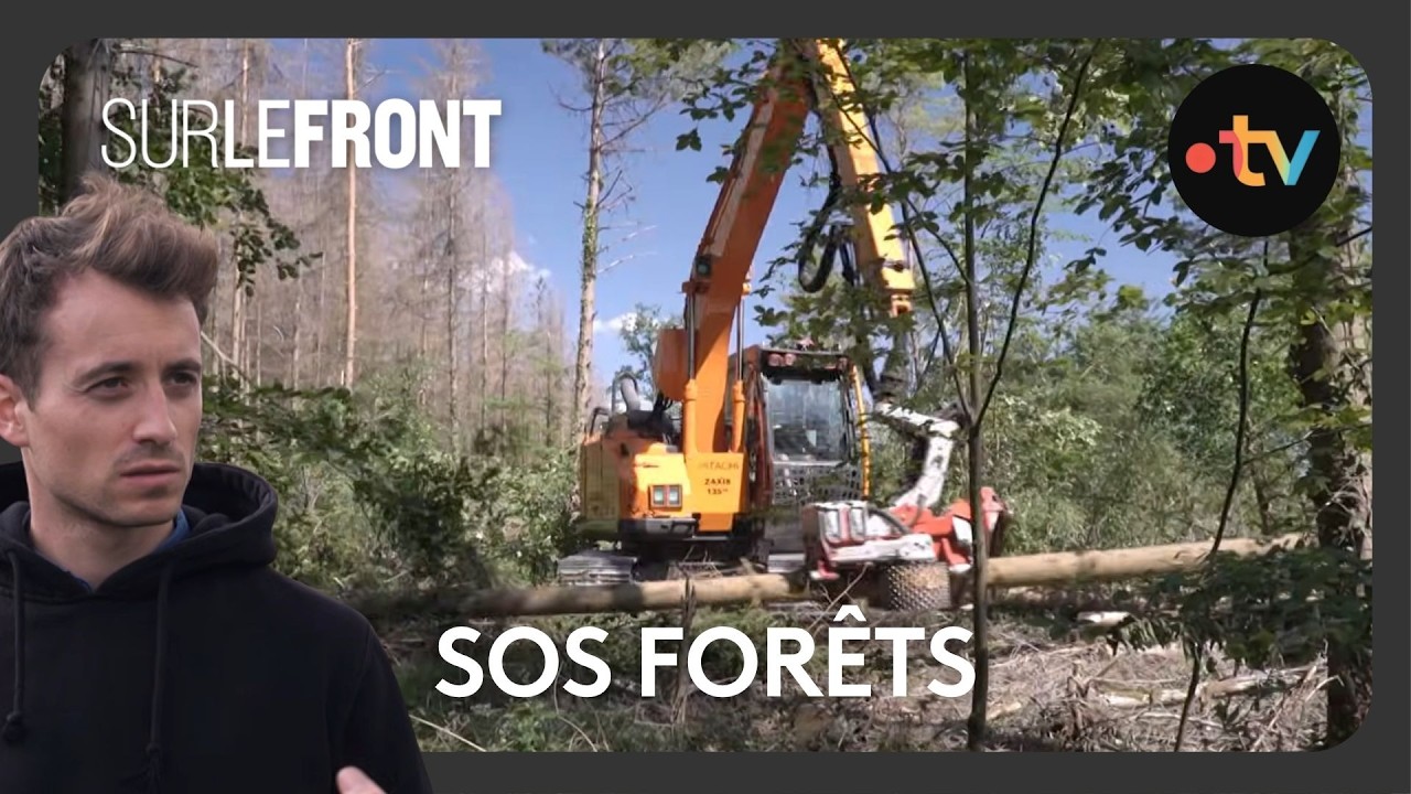 Sur le front des forêts françaises avec Hugo Clément