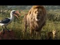 Mufasa and Simba Pouncing Lesson Scene | THE LION KING | Movie Scene (2019)