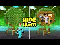 Minecraft Hide or Hunt, But in a Secret Mangrove Swamp TREE Base!