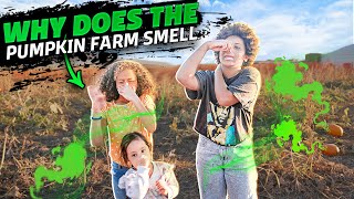 Utah Pumpkin Patch 2022 Vlog