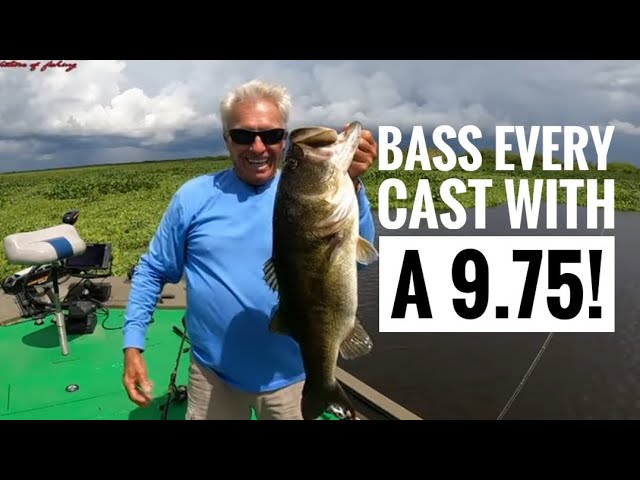 TOPWATER Bass Fishing Headwaters Lake for GIANT Florida Bass 2023
