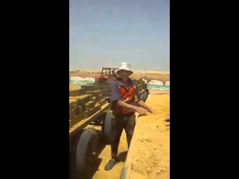 أبو صلاح يا طوبة حمرا