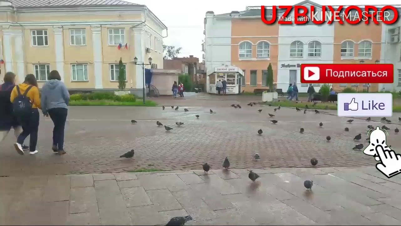 ГОРОД ДИМИТРОВ