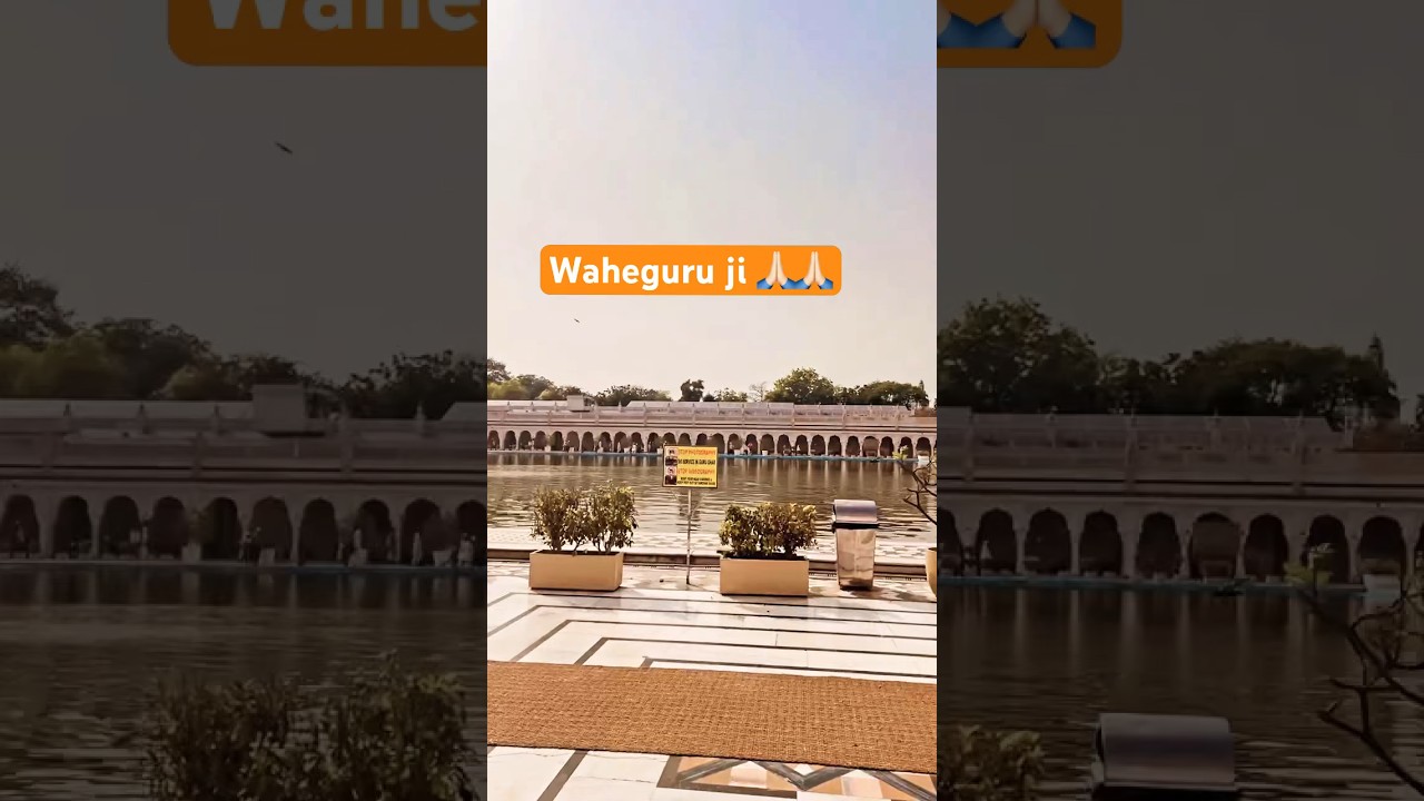 ⁣Sukh Tera dita leheeai#gurbanigurbani#viral#shortvideo #trending 🙏🏻🙏🏻