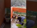 Day in slow routine#shortvideos #minivlog #ytstudioes #shorts