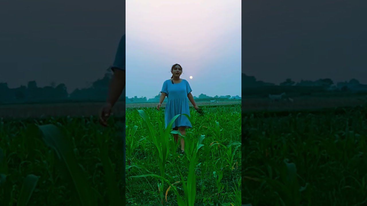tumhari bari jarur aayegi uparwala par bharosa rakho ❤️ #motivation #youtubeshorts #viral #nature