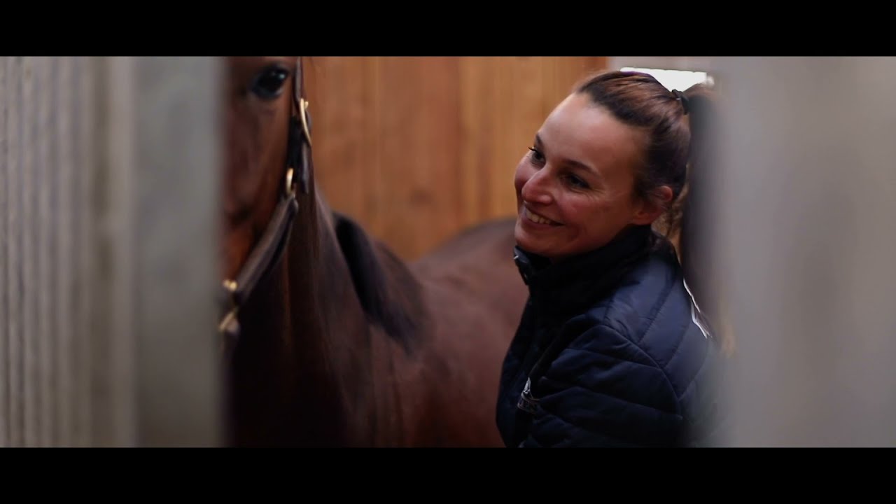L'élevage équin : source d'emploi rural. Film 3 de la série vidéo de la Fédération des Eleveurs