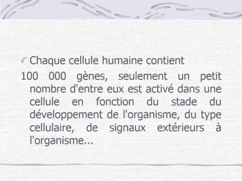 Vidéo: Profil Transcriptionnel Et Rôles Physiologiques Des Gènes Liés à La Spermathécie D'Aedes Aegypti