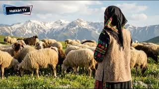 Muzîka Kurdî Lo Lo Mihemed