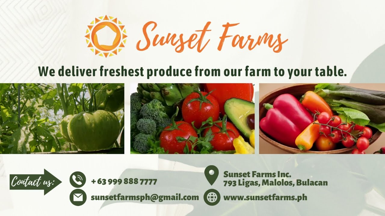 Sunset Farms YouTube