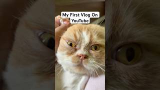 First Vlog on YouTube| peaceful day at home #shorts #ytshorts #youtubeshorts #dailyvlog #firstvlog