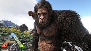 58 Ark Rag S4 イケメンゴリラ 厳選ギガントピテクスをテイム Pc版公式pve Ark Survival Evolved Youtube