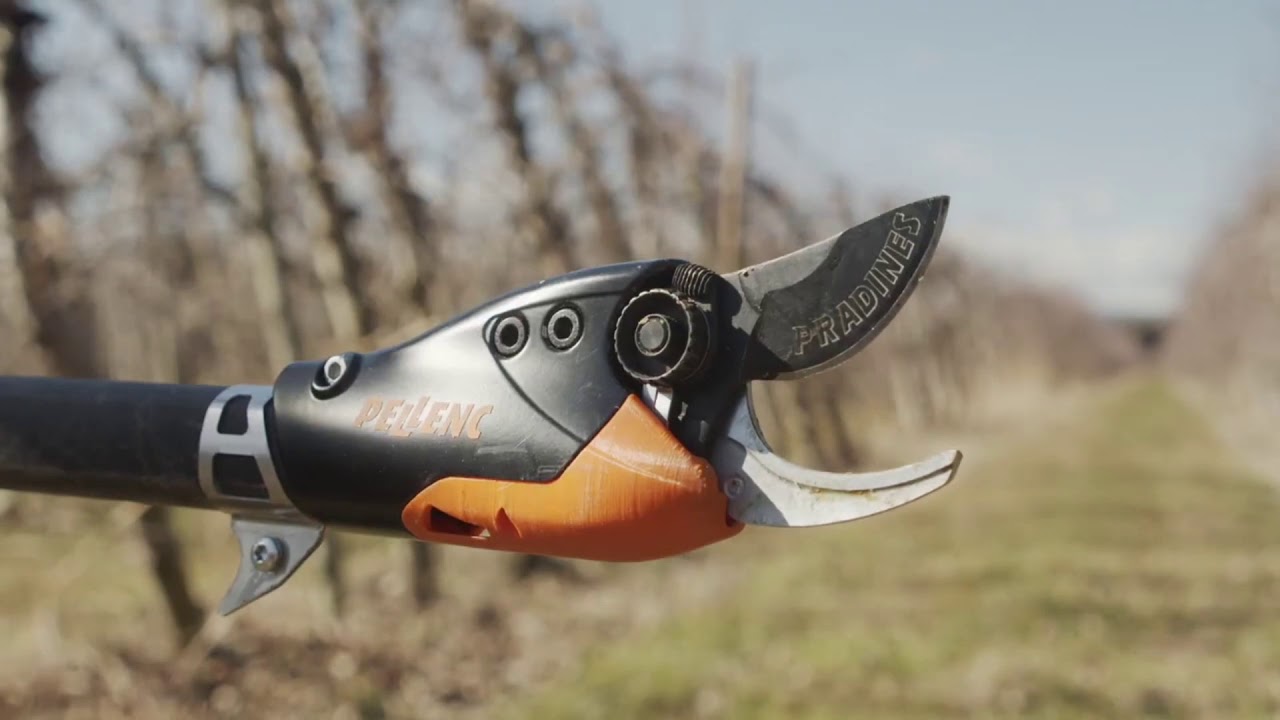pellenc pruner