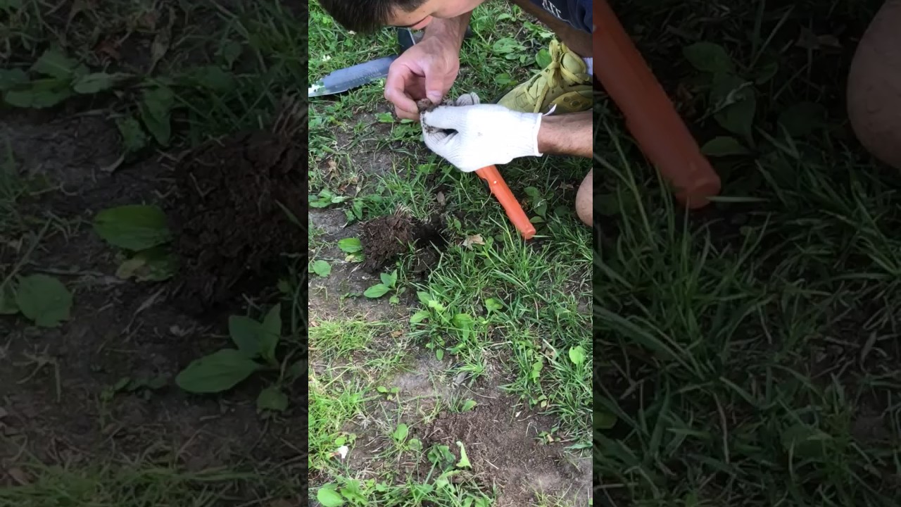 Metal Detecting NJ (June 2017) pt 2 YouTube