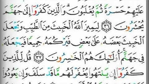 مصحف التجويد المرتل صفحة 181 محمد أيوب
