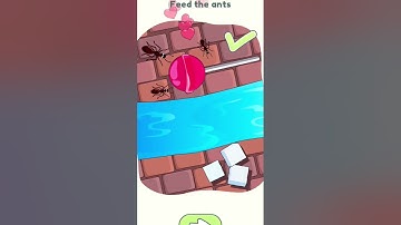 Dop 2 (Delete One Part) Level-264 Feed the ants #shorts @dopgame01