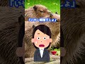【2ch面白いスレ】生徒諸君!について #shorts