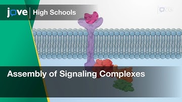 Assembly of Signaling Complexes | Cell Bio | Video Textbooks - Preview