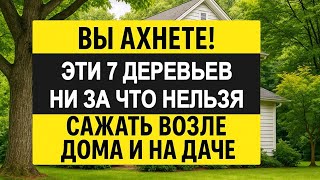 видео: Вы ахнете! 7 деревьев, никогда нельзя сажать возле дома, дачи: приносят болезни и отнимают достаток! картинка: Вы ахнете! 7 деревьев, никогда нельзя сажать возле дома, дачи: приносят болезни и отнимают достаток!