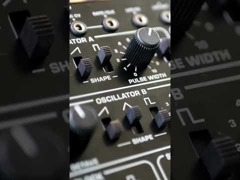 Behringer Pro-1 - BASS MACHINE ⚙️ (Soundset Demo) #shorts