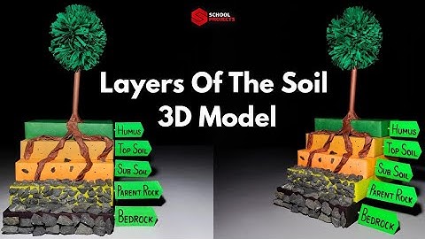 Layers Of The Soil 3D Model / Soil Profile 3D Model / DIY Soil Profile 3D Model For School Project