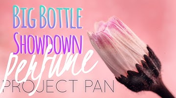 Big Bottle Showdown Perfume Project Pan Collab Intro | Hanging Out With Lori