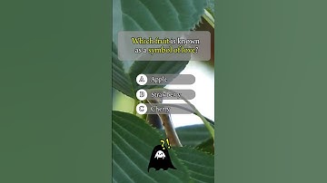 Test Your Knowledge 🧠: Bet You Can’t Get This Right!#riddles #trivia #quiztime #shorts