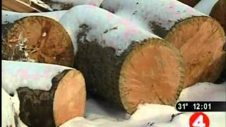Man accused of cutting electric poles