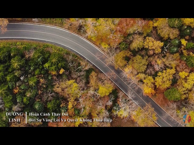 DƯỠNG LINH - Hoàn Cảnh Thay Đổi Bởi Sự Vâng Lời Và Quyết Không Thỏa Hiệp