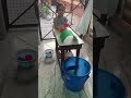DIY Tunnel Ball 🥎 Game for toddlers 😍 #kidsactivities #toddleractivities #kidslearning #learning