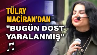 Tülay Macirandan Muhlis Akarsu Anısına Canlı Bugün Dost Yaralanmış