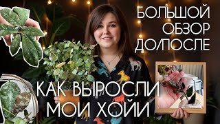 видео: БОЛЬШОЙ ОБЗОР всех моих ХОЙ I БЫЛО/СТАЛО картинка: БОЛЬШОЙ ОБЗОР всех моих ХОЙ I БЫЛО/СТАЛО