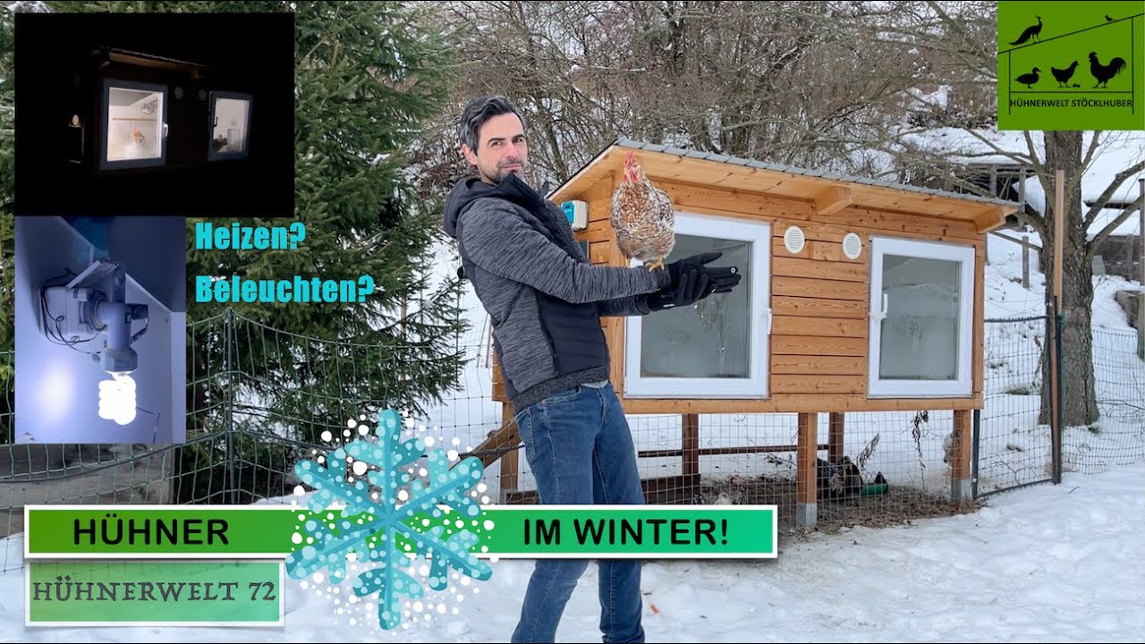 Wie geht Hühnerhaltung im Winter? ❄️ Hühnerwelt 72