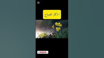 اذكار الصباح بصوت يريح قلبك❤️ راحة نفسية