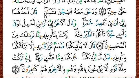 ختمة مصحف التجويد برواية قالون الصفحة رقم 239