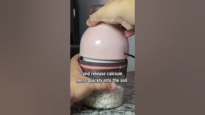 How to Use Eggshells as Natural Fertilizer for Plants 🥚🌿 | Easy Organic Gardening Hack!