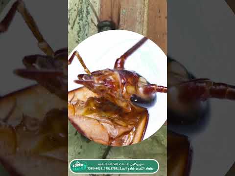 تعريف الصور بجو من المرح