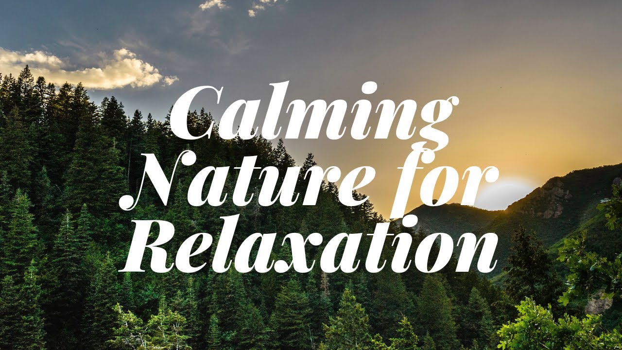 Soothing Music of Nature | Relaxing Nature Ambience - YouTube