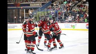 Tucson Roadrunners Playoff Preview