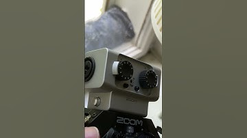 How Versatile Are They? Zoom H5 vs H8