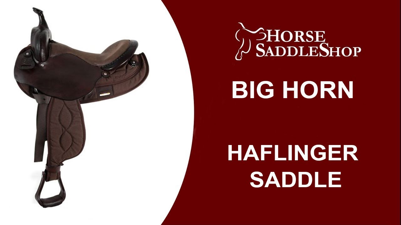 Big Horn Light Weight Haflinger Saddle YouTube