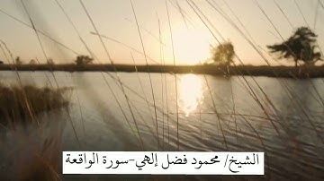سورة الواقعة | بصوت القارئ : محمود فضل