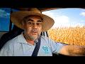 FÓSFORO VAI TE SALVAR DO EL NIÑO